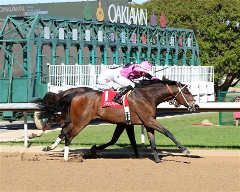 Trackside View » Oaklawn Barn Notes: Moysey Gearing Up for Oaklawn’s