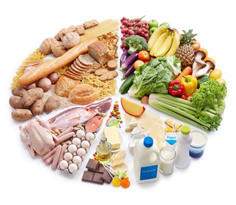 #58 Summary of animal nutrition | Biology Notes for IGCSE 2014 & 2022