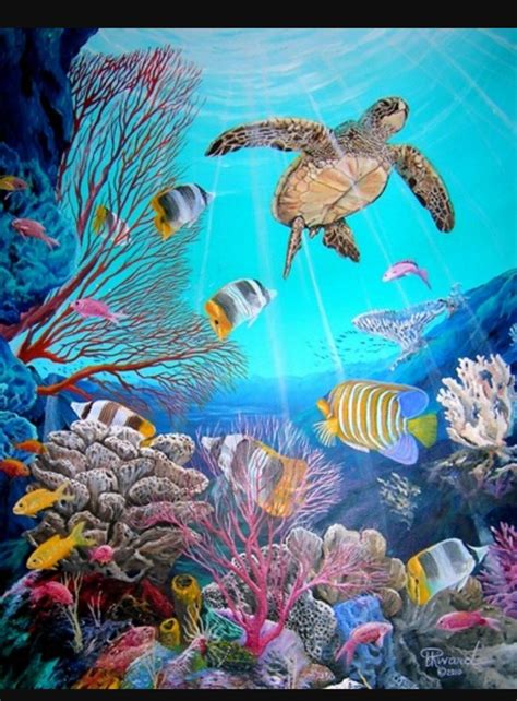 Pin By Alex On Animals Sea Art Sea Life Art Underwater Art