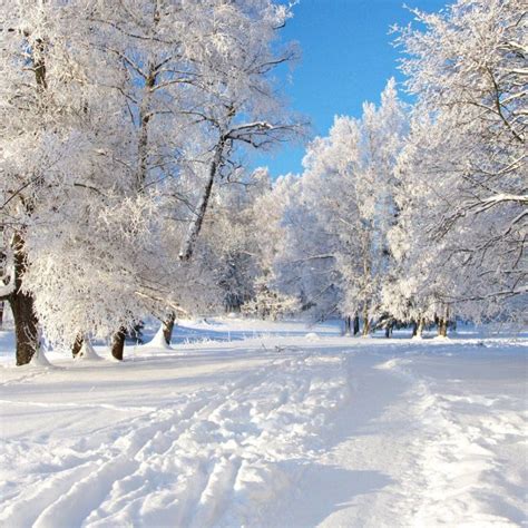 10 Most Popular Free Winter Wallpapers And Screensavers Full Hd 1080p