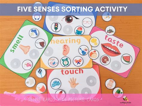 Five Senses Sorting Activity Printable Kids Game 5 Senses Preschool