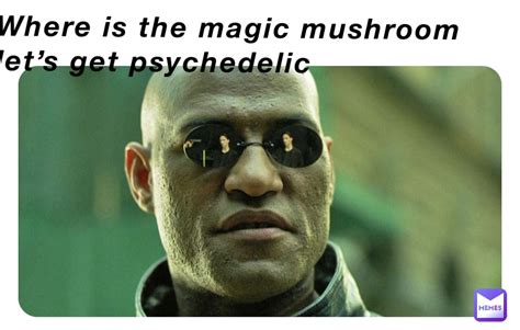 Where Is The Magic Mushroom Lets Get Psychedelic Jaysjp2015 Memes