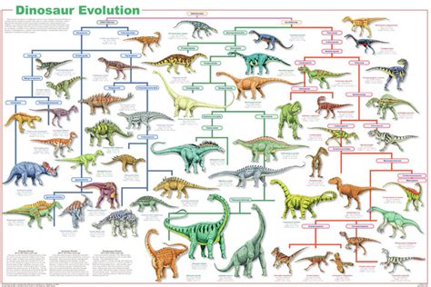 Dinosaur Classification Forbes Paleo Club