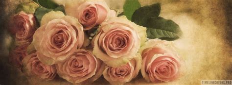 Vintage Soft Pink Roses Facebook Cover