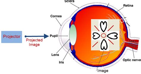 Retinal Projection