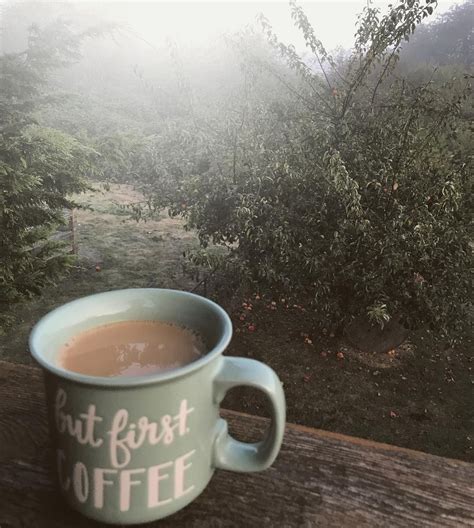 Ill Take My Coffee With A Thick Layer Of Fog Please Misty Mornings ️
