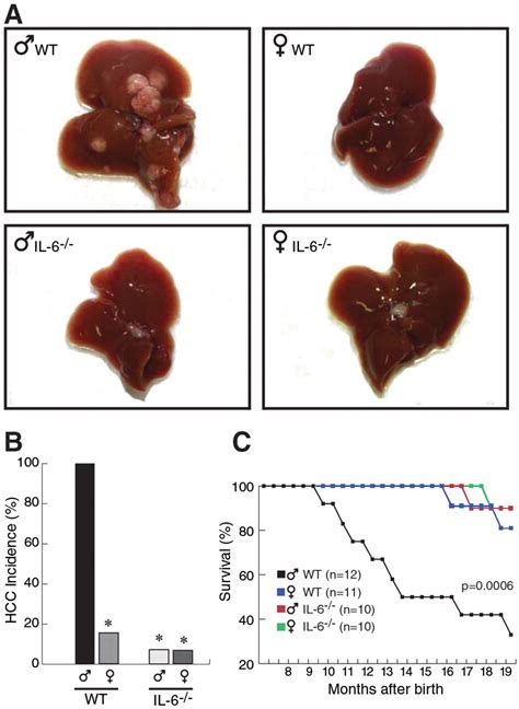 Gender Disparity In Liver Cancer Due To Sex Differences In Myd88 Dependent Il 6 Production Science