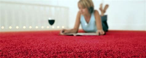 Carpet Flea Treatment In Melbourne Best Carpet Flea Treatment Service