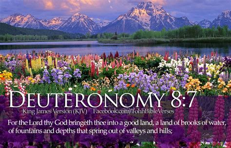 Word Pictures - Deuteronomy 8 | Word Pictures: Old Testament Bible ...