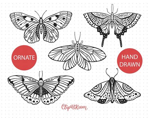 Monarch Butterfly Svg Files For Cricut Monarch Butterfly Png Etsy