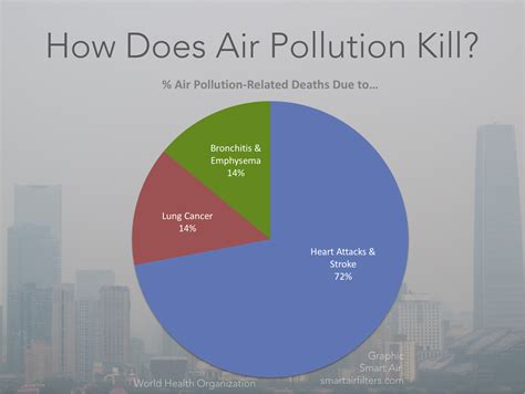 A One Stop Guide To Protecting Yourself From Air Pollution Smart Air
