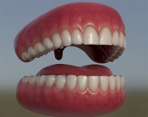 3d Model Teeth With Gums And Tongue Vr Ar Low Poly Cgtrader