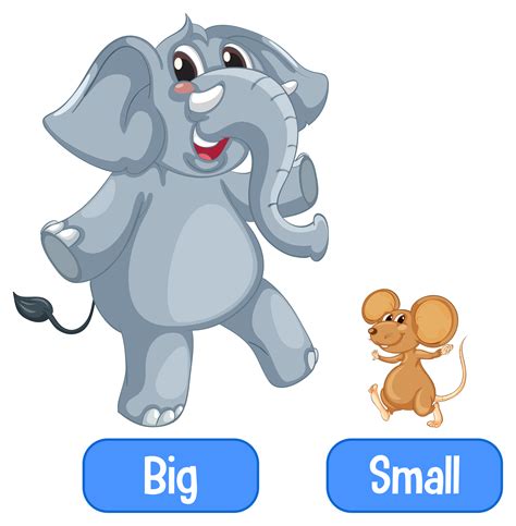 Opposite Adjectives Words With Big And Small Vector Art At Vecteezy