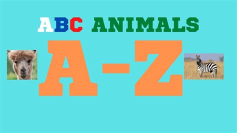 Alphabet Animals Abc Animals Youtube
