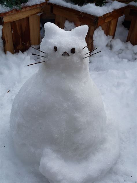 Cat Snowman Snow Fun Winter Fun Snow Sculptures