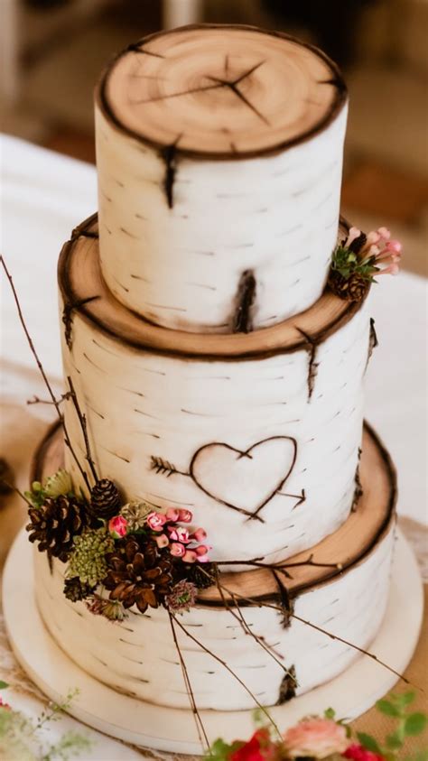The Perfect Cake For A Rustic Wedding Birch Bark Wedding Cake With
