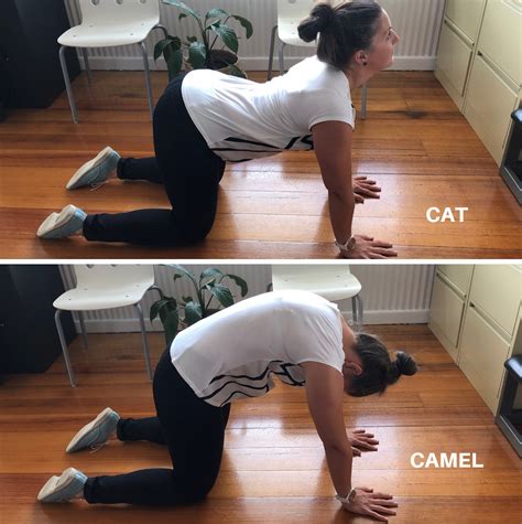 Camel pose ustrasana benefits stretches your neck, chest, abdomen, thighs, hip flexors (psoas), groins, and ankles. cat camel stretch - Best Walking Shoe Reviews