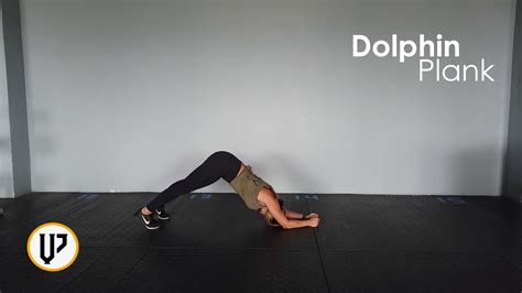 Dolphin Plank Youtube