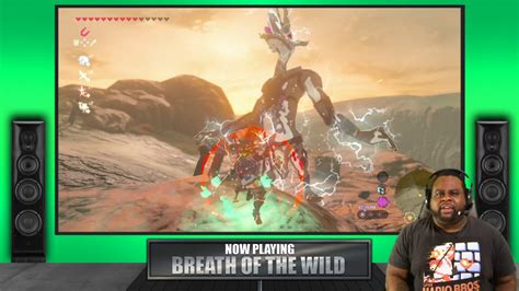 Zelda Breath Of The Wild Lionel Hunting Link Twitch Stream Past