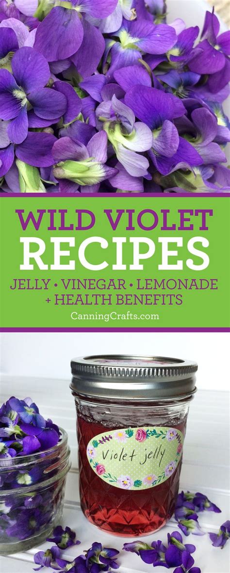 Wild Violet Recipes Foraged Edible Flowers Taste Great