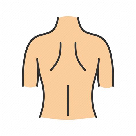 Back Body Part Human Scapula Shoulder Spine Woman Icon Download