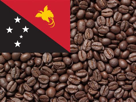 Papua New Guinea 1lb Gandm Coffee Roaster Inc