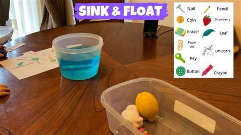 Sink And Float Science Project Preschool Children Youtube