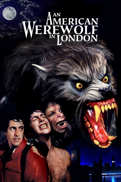 affiches posters et images de le loup garou de londres 1981