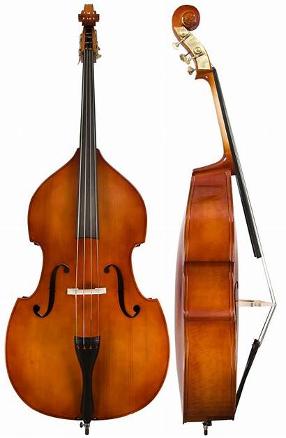 Bass String Double Orchestra Clipart Violin Instruments