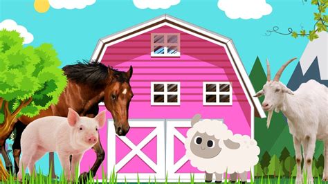 Learn Farm Animal Sounds Educational Video For Kids Youtube