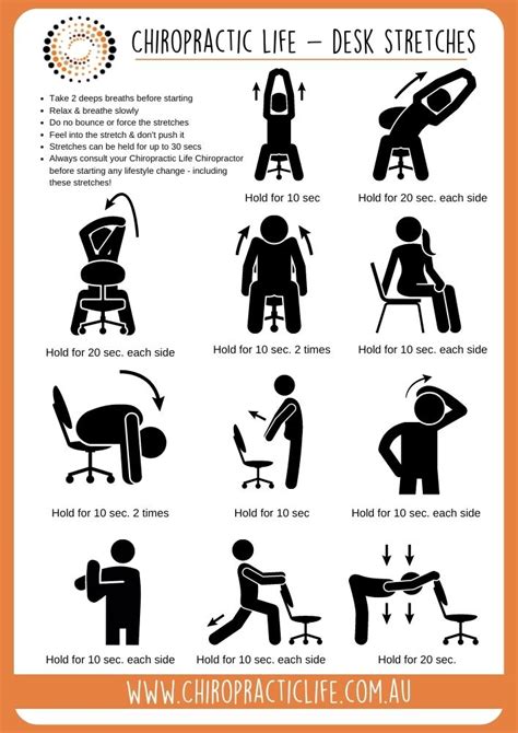 Best Desk Stretches Chiropractic Life