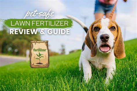 It's possible to grow a lush, green lawn without causing harm to theenvironment. Pet Safe Lawn Fertilizer: Grow Lush, Dog-Friendly Gardens ...