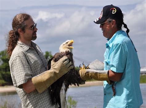 You'll also have completed all the academic requirements for professional certification with the ontario association of certified engineering technicians and. Wildlife Veterinarian Salary in 2018 | Healthcare Salaries ...