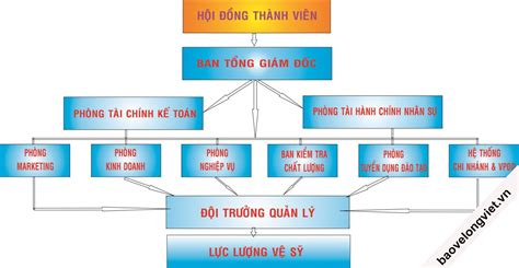 Sơ Đồ Cơ Cấu Tổ Chức Của Công Ty Dịch Vụ Bảo Vệ Long Việt