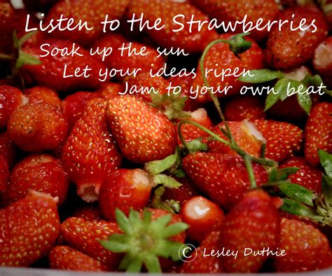 Strawberry Quotes 54 Koleksi Gambar