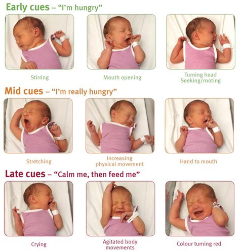 Signs That Your Baby Is Hungry