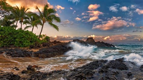 Maui Hawaii Ruhig Meer Felsen Palmen Strand Hintergrundbilder