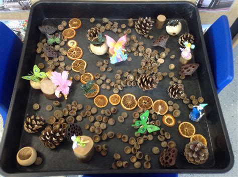Fairies In A Woodland Small World With Natural Resources Tuff Tray