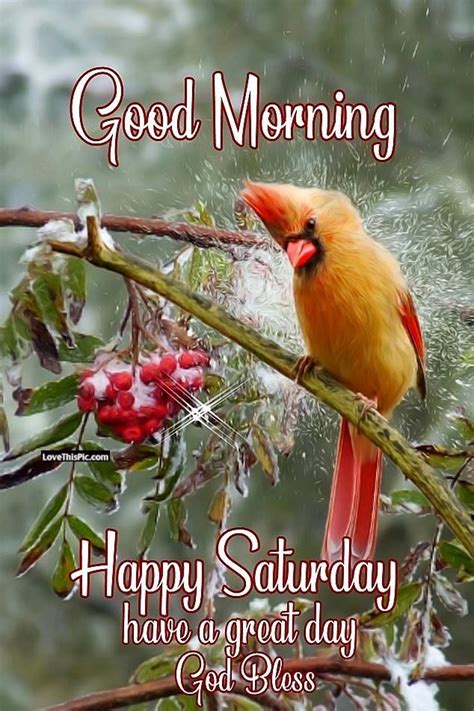 Have A Great Saturday God Bless Good Morning Pictures Photos And