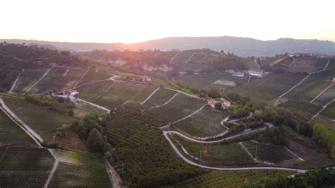 Vineyard Aerial View In Langhe Piedmont Italy 15530179 Stock Video At
