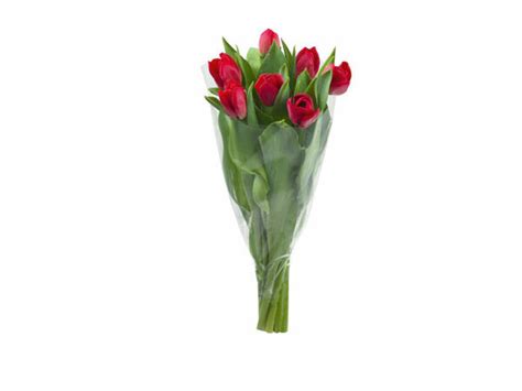 Tulipes Lidl Belgique Archive Des Offres Promotionnelles
