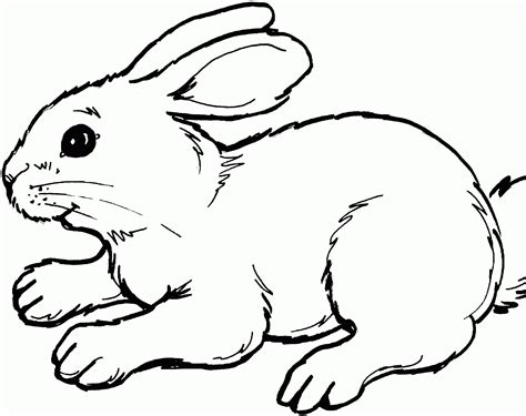 Nous conservons un vaste choix de dessins à imprimer gratuit sur les animaux de la ferme : 128 dessins de coloriage lapin à imprimer sur LaGuerche.com - Page 13