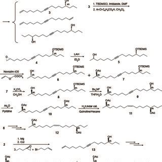 With the exception of methane the response obtained. (PDF) Populations of the Gall Midge Dasineura oxycoccana ...