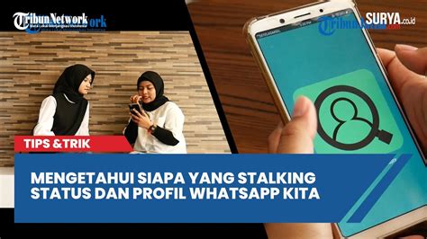 Tips Dan Trik Mengetahui Siapa Yang Stalking Status Dan Profil