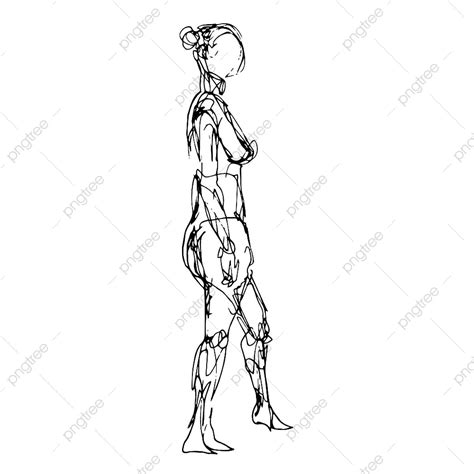 Doodle Art Illustration Of A Nude Female Human Figure Model Posing