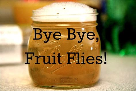I'd love to know how you deal with flies. How To Get Rid Of Fruit Flies: Fast And Easy