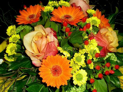 Blumen Arrangement Foto & Bild | spezial, herbst, blumen Bilder auf