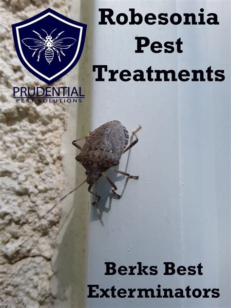 Robesonia Pest Control Services Prudential Pest Solutions
