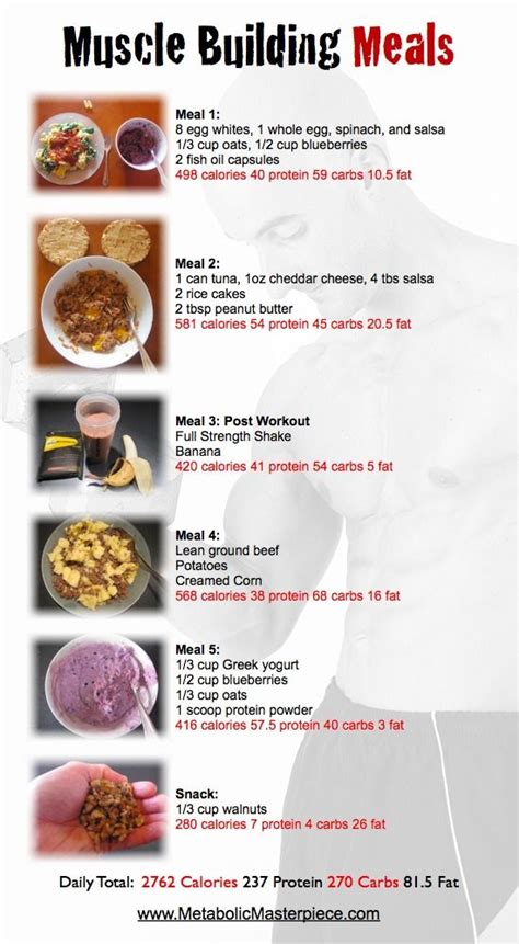 Meal Plan For Muscle Mass Gain Diet Plan