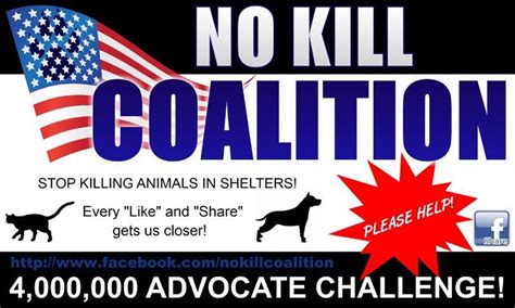 Pin On No Kill Animal Shelters